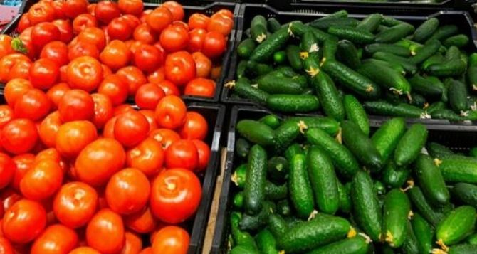 Январские цены на помидоры и огурцы. В каких супермаркетах дешевле?