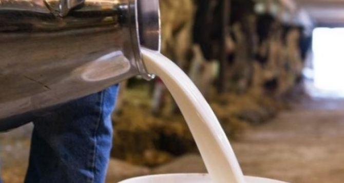 В Украине ожидается дефицит молочных продуктов, что приведет к повышению цен на продукцию.