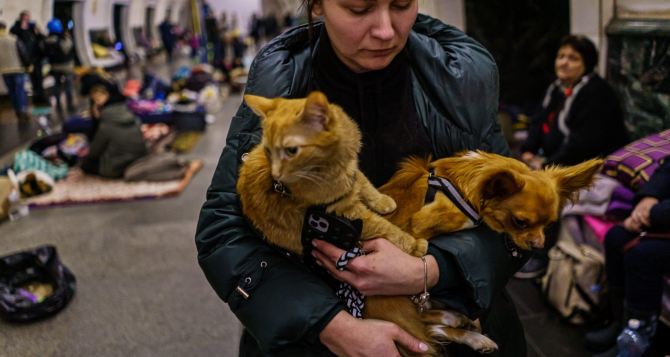 Украинцам разрешили находиться в укрытиях с домашними животными