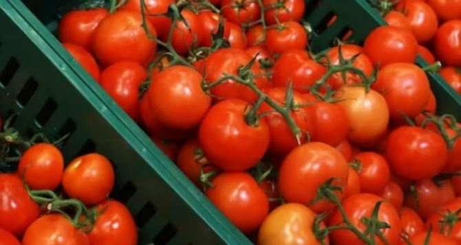 Помидоры продолжают дорожать. Сколько стоит любимый, красный овощ в супермаркетах Украины к концу января