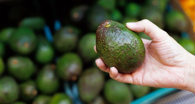 На что стоит обратить внимание при покупке авокадо?