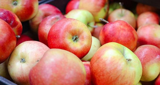 Февральские цены на любимые фрукты: В какую сумму обойдутся груши и яблоки