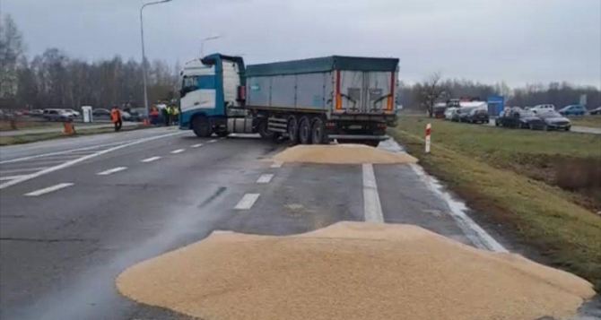 Фермеры с большой дороги Польские протестующие аграрии высыпали зерно из украинских фур