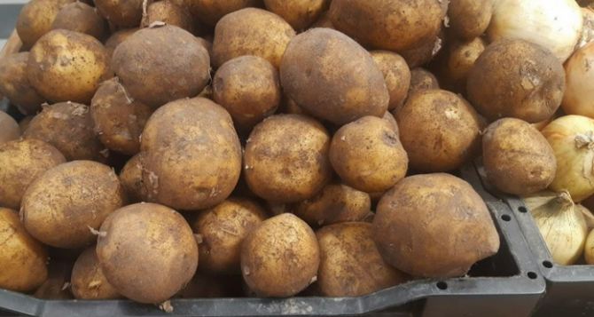 Новые цены на картофель. Стоит ли Украинцам ожидать удешевления необходимого овоща