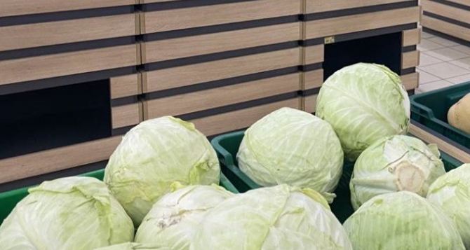 В Украине начала дешеветь капуста: Какие цены в супермаркетах?