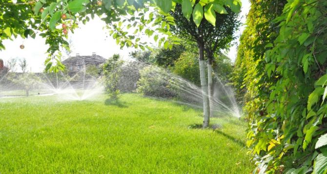 Умные решения для вашего сада: установка и обслуживание систем автоматического полива