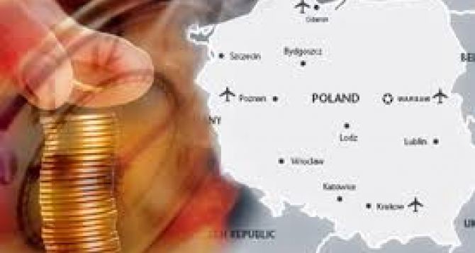 Польские исследования показали, какой вклад внесли  украинцы в развитие польской экономики