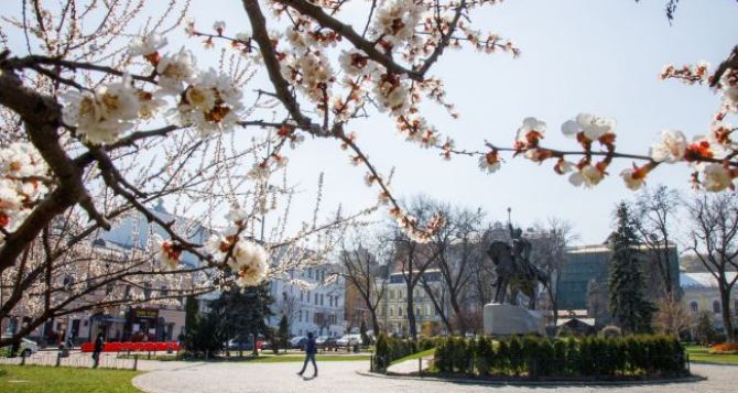 С апрелем в Украину придёт теплая и сухая погода. Хороший прогноз на два ближайших дня