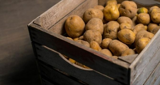 Можно покупать мешками: Как правильно хранить картофель?