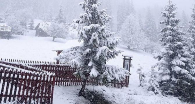 В Украине выпал снег. В сети публикуют фото зимы посреди апреля