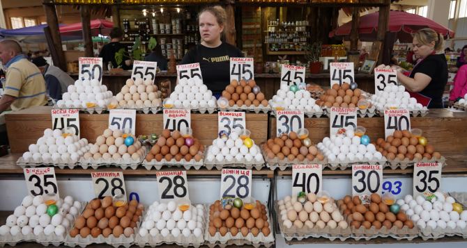 Покупатели не сдерживают радость: цена на яйцо резко снизилась — сколько стоит десяток в мае