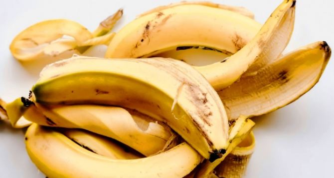 «Томаты любят бананы» Никогда не выбрасывайте банановую кожуру и у вас будет богатый урожай!