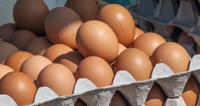 Касается людей преклонного возраста: сколько яиц можно есть в день? Врач-диетолог назвала точное количество