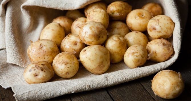 В магазинах Германии обнаружен молодой картофель с пестицидами. Идет отзыв продукта