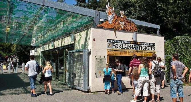 1 июня украинские дети смогут бесплатно посетить Пражский зоопарк, где их ждут конкуры, подарки и возможность кормить животных