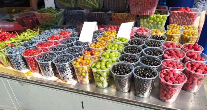 В Украине резко обвалились цены на востребованную летнюю ягоду: сколько стоит лакомство