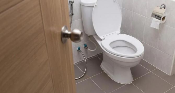 Кладу носок с лавровым листом в туалете — и живу спокойно: вот зачем он там нужен — разница сразу заметна