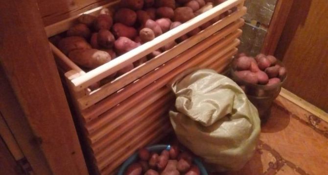 Картошка всю зиму не прорастает и не вянет: две хитрости помогают хранить клубни месяцами — пролежат до весны