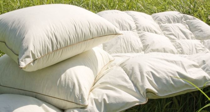 Почему подушки нельзя сушить на солнце. Какие ещё процедуры с одеялом, подушками и наматрасником нужно проводить регулярно