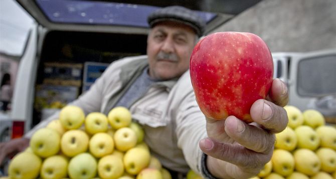 Цены на яблоки в Украине продолжают бить новые рекорды