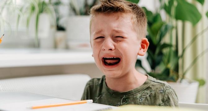 Пенсионный фонд Украины этим людям точно деньги не перечислит В Кабмине уточнили правила выделения  тысяч Шмыгаля