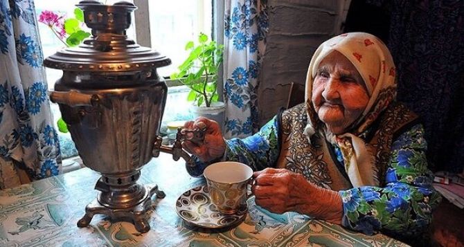 Что посеять на участке после лука и чеснока Советы Алевтины Егоровны