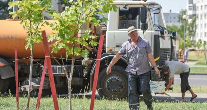 У Дніпрі знайшли новий спосіб врятувати дерева від спеки як комунальники борються з аномальною температурою