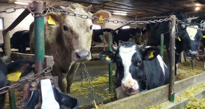 Фермеры получат больше Украина расширило финансовую помощь аграриям