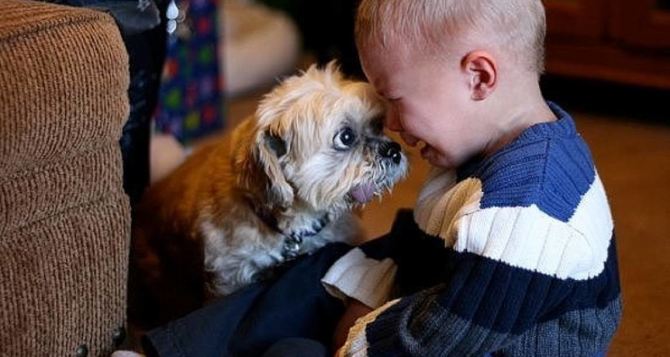 З дітьми та тваринами складніше як виглядає оренда житла в Україні