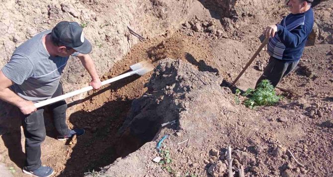 Пенсионерам и переселенцамВПЛ за эту работу теперь платят в два раза больше