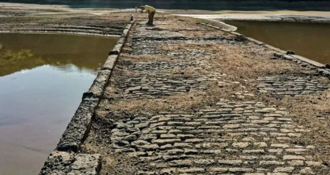 В одной из крупных рек Европы изза жары есть риск критического падения уровня воды