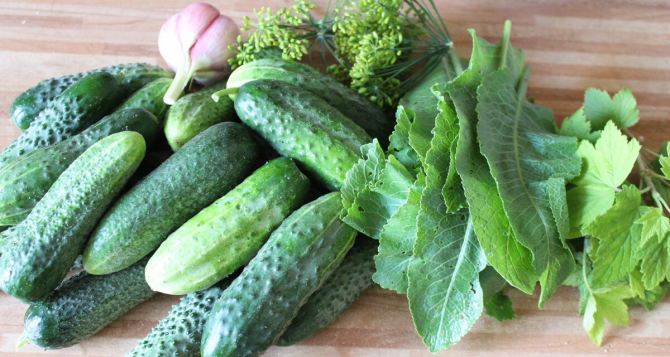 В Україні подешевшав популярний літній овоч які ціни