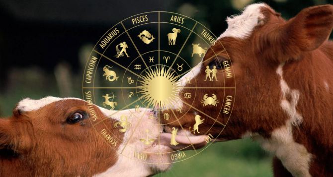Телячьи нежности сегодня не только для Тельцов а когото ждут неожиданности Гороскоп на сентября  года
