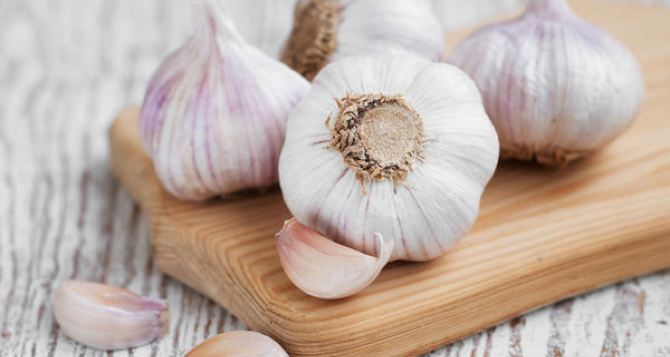 Не сажаю озимый чеснок не взглянув на березу называет идеальный день для посадки безошибочно рабочая примета