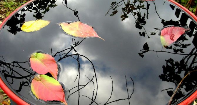 Ошибки огородника осенью все их делают а потом удивляются