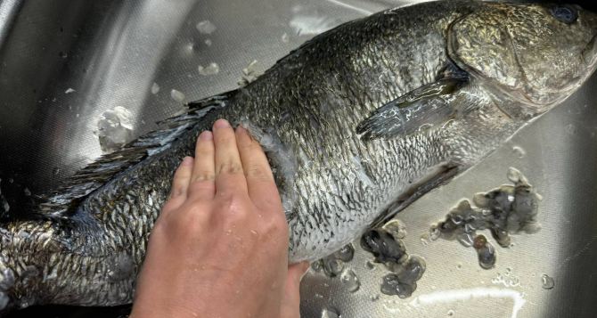 Любую рыбу чищу руками без ножа и кипятка кухня всегда остается чистой испанский метод который действительно работает