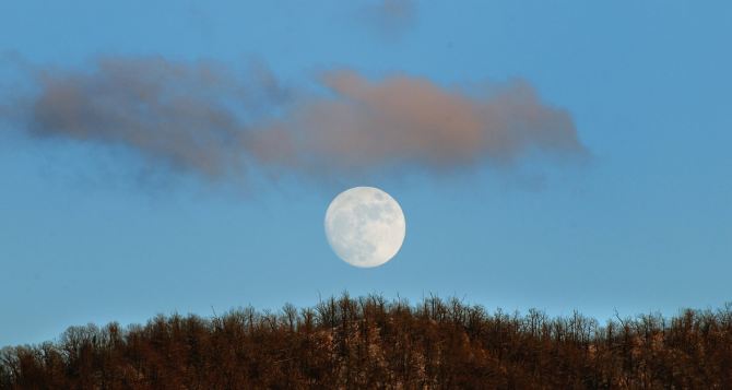 Сегодня нужно обязательно наблюдать за Луной и домашними питомцами Они предскажут какой будет зима