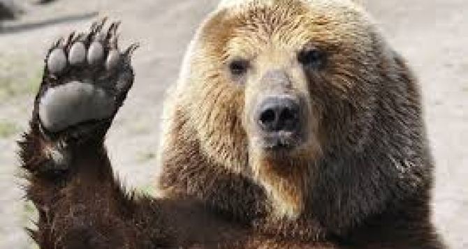 У выражения медведь на ухо наступил есть страшная история а мы не знаем и говорим детям