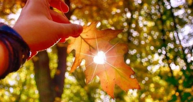 В выходные в Украину придёт Бабье лето