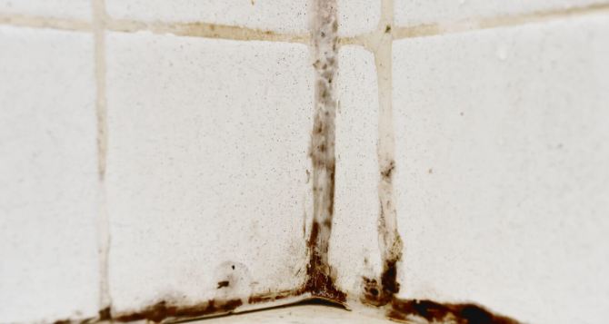 Забыли про плесень в ванной навсегда  минут и чёрный налёт сползает даже в самых сырых углах