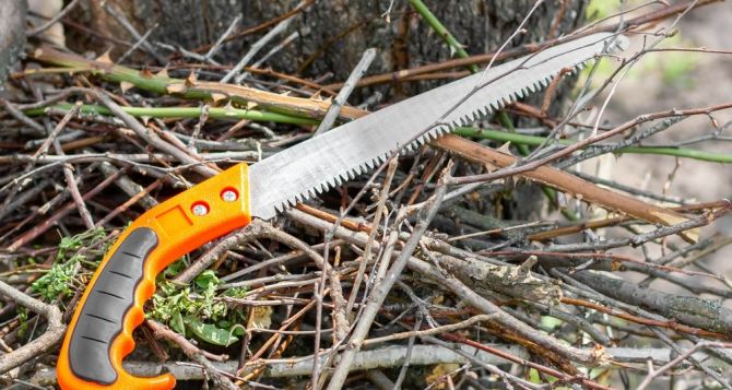 Каждой яблоне в ноябре обязательно Совет из СССР от самого Мичурина поможет собрать лучший урожай в вашей жизни