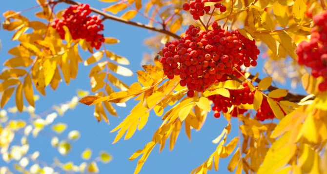 Не лето конечно но в ближайшие два дня Украину ждёт вполне приятная погода