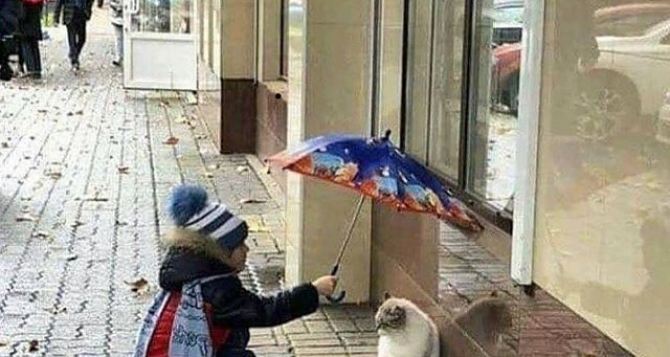 ноября мир отмечает один из самых теплых и искренних праздников Пять идей как вам провести этот день и получить от этого кайф