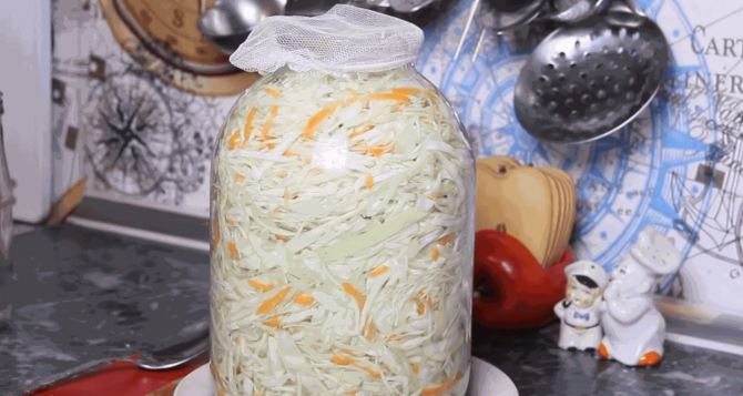 Квашеная капуста не рутина а творчество Как я в этом году квашу малоизвестные рецепты с овощами и ягодами