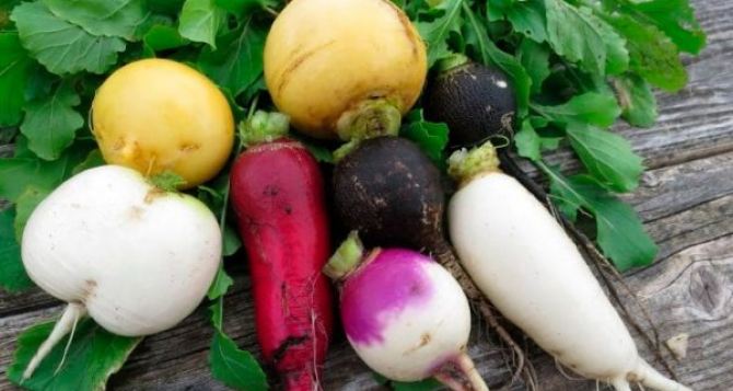 От мора до свадьбы от редьки до монеток традиции приметы и обряды ноября Шанс для незамужних