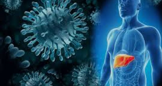 Изза вспышки желтухи в Чехии умерло  человек Польша предупреждает своих граждан об опасности поездок в соседнюю страну