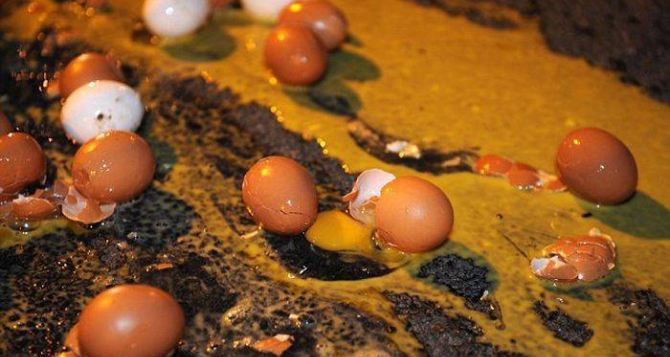 Немецкая полиция ищет яичных хулиганов