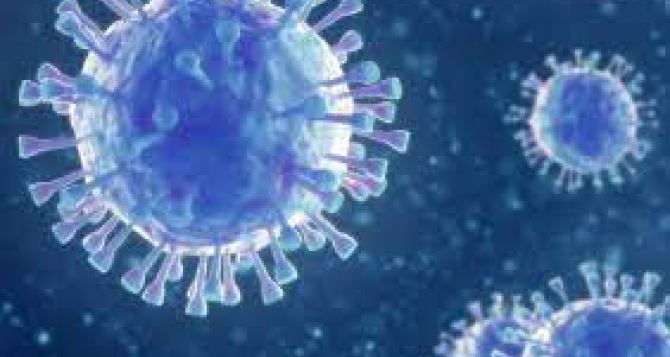 В Европе уже распространяется вирус способный спровоцировать пандемию опаснее чем Ковид