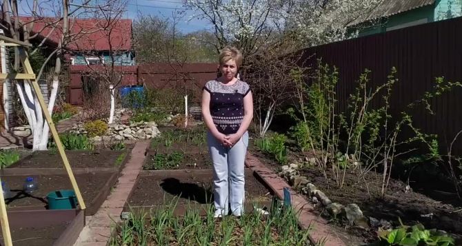 Многие дачники об этом молчат Но я больше не пускаю родственников в огород