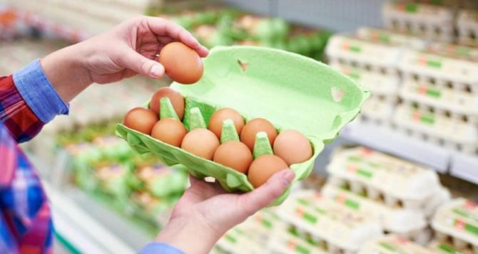 «Отборные» яйца категории С0: почему их никогда не покупают себе работники птицефабрик и супермаркетов